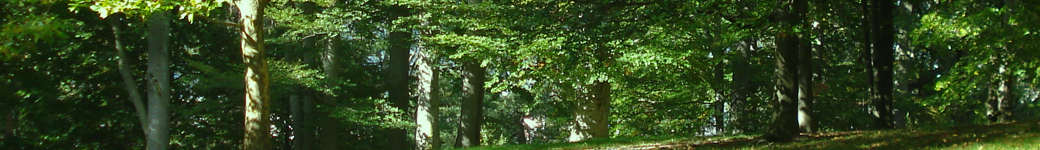 stay gay sex web cam video chat areas espanya